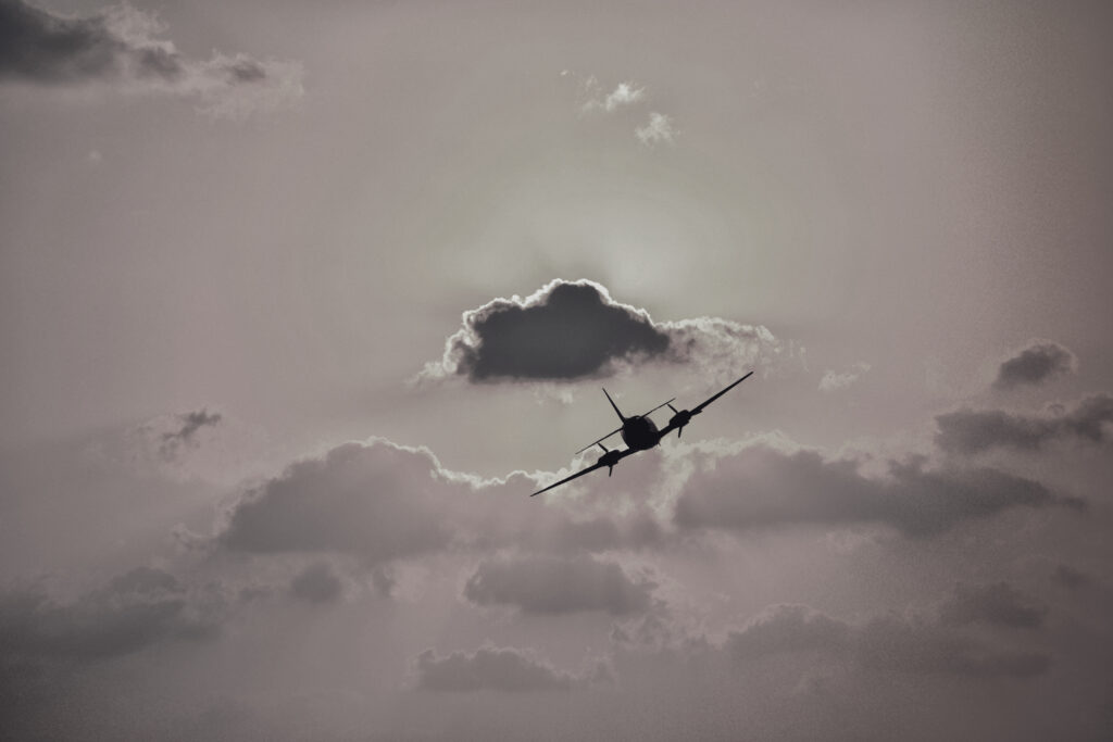 Jeju air flight disaster: bird strike or something else?